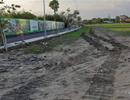 Biết là “treo đầu dê, bán thịt chó”, vẫn sập bẫy ngon ơ
