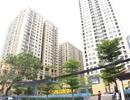 Thả gia súc, gia cầm trong khu chung cư sẽ bị phạt hành chính