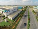 Bất động sản công nghiệp, không chỉ có màu hồng