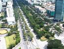 Nhiều vướng mắc trong quản lý cây xanh đô thị