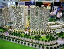 'Treo giò' 12 tháng đối với chủ dự án không công khai pháp lý dự án