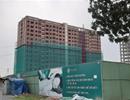‘Phong tỏa’ dự án Green Town Bình Tân
