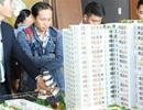 Thị trường bất động sản Hà Nội và Tp.HCM hiện giờ ra sao?