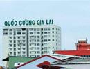 Cú đảo chiều bất ngờ và sự “xuất thần” của cổ phiếu nhà Cường đôla