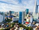 HoREA lo doanh nghiệp bất động sản có thể phá sản