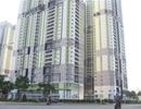 HoREA: Khung giá đất bất cập lớn, chỉ bằng 30-50% giá thị trường