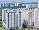Căn hộ cho thuê 'đứng hình' trong mùa dịch