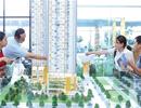 Giải cứu bất động sản giữa đại dịch COVID-19: Giảm giá bán nhà, tăng chiết khấu