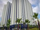 Vụ đổi 99ha ‘đất vàng’ cải tạo chung cư: Yêu cầu Hải Phòng làm rõ ý kiến Bộ Tài chính