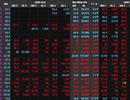 Đổ gần 12.000 tỷ đồng “săn cổ phiếu” giữa lúc thị trường chứng khoán “rơi”