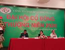 Dự án "con gà đẻ trứng vàng" của Quốc Cường Gia Lai "bất động" vì vướng pháp lý