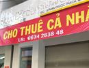 Càng làm càng lỗ, đồng loạt đóng cửa bỏ về quê