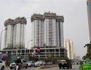 Chủ đầu tư om quỹ bảo trì hàng chục tỷ đồng có thể khởi tố hình sự