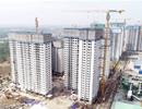 Số lượng dự án nhà ở được cấp phép tăng mạnh