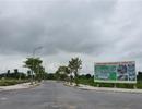 Tin quảng cáo, người mua nhà nhận 'trái đắng'