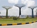 Làn sóng đầu tư dịch chuyển mở hướng mới phát triển bất động sản công nghiệp