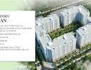 TP.HCM: Quận 12 TP. HCM cảnh báo dự án nhà ở xã hội mạo danh 'Bộ Công an'