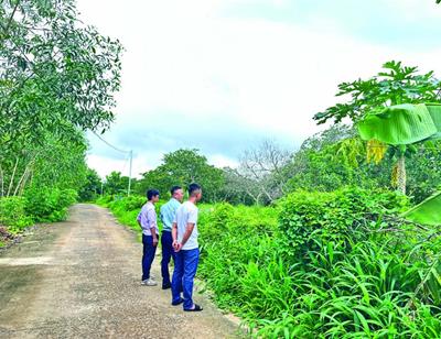Dòng tiền đầu tư đất nền “đuối sức”