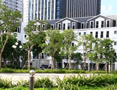 Savills: Shophouse hết “hot”, nhưng vẫn là phân khúc tiềm năng