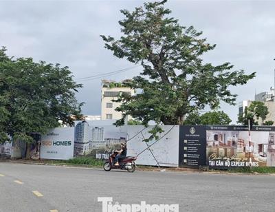 'Choáng' với giá chung cư ở tỉnh lẻ 'nhảy múa' lên đến 80 triệu đồng/m2