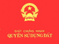 Quốc hội giám sát việc cấp giấy chứng nhận quyền sử dụng đất và thu hồi đất tại TP.HCM