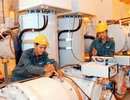 UBND TPHCM chỉ đạo: Khẩn trương giải phóng mặt bằng các công trình điện cao áp 