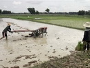 Thu hồi đất cấp cho nông dân nghèo
