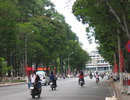 Có một Sài Gòn xanh như thế…