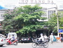 Hoàn chỉnh phương án hỗ trợ cho các hộ kinh doanh tại chợ Hàng Da trước ngày 10/4