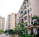 Tái định cư tầng cao được hỗ trợ tiền
