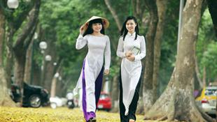Thiếu nữ Việt lãng mạn mùa lá sấu rụng 