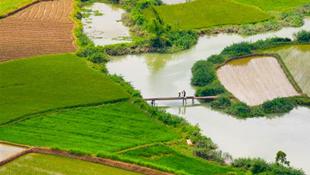 Khung cảnh yên bình trong ngày mùa thu hoạch của người nông dân ở Bắc Sơn