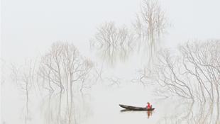 Sương sớm trên hồ Đa Mi 